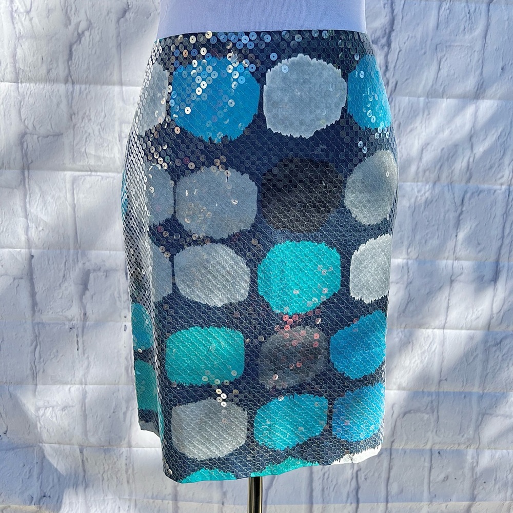 Ann Taylor Women’s Petite Blue Sequins Skirt